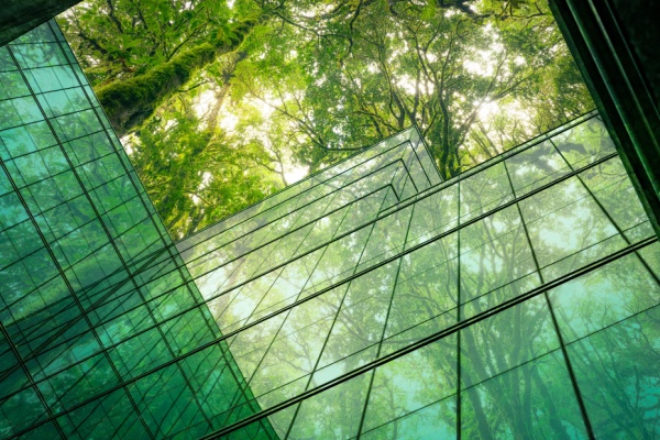 Shutterstock_entreprisetransitionecologique
